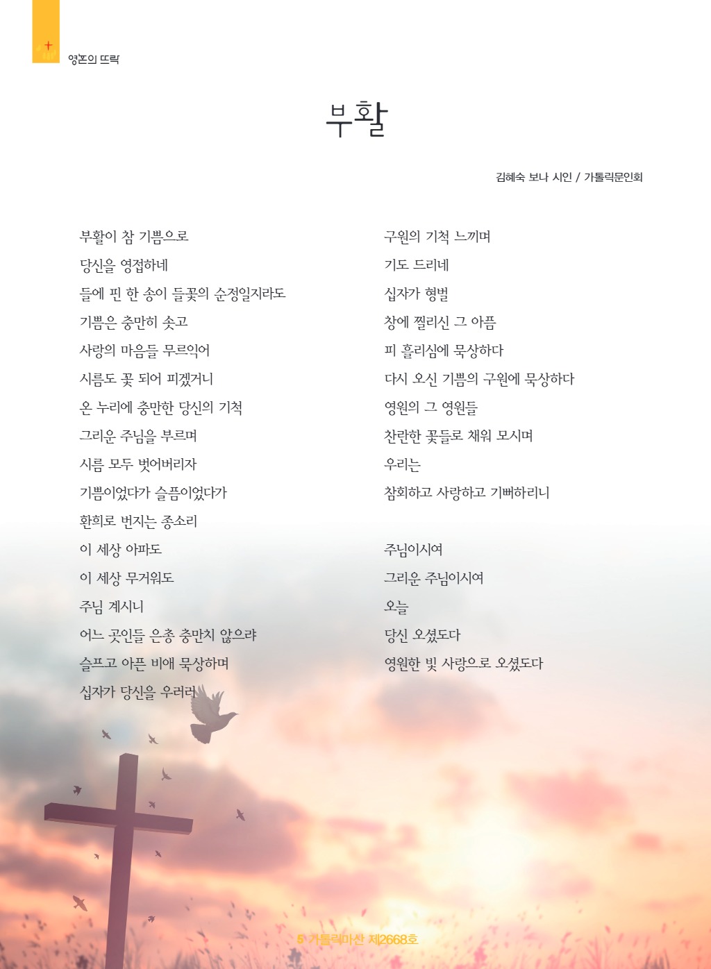 downloadfile_20250501163759.jpg